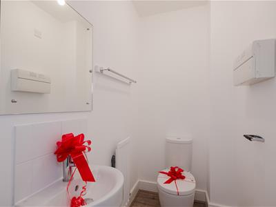 Picture 17